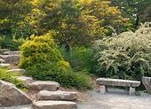 Jak zařídit malou zahradu v japonském stylu?