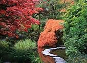 Zahrada v japonském stylu – jak ji založit. Podívejte se!