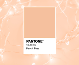 Peach Fuzz - barva Pantone pro rok 2024