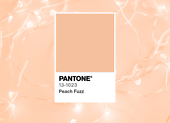 Peach Fuzz - barva Pantone pro rok 2024