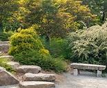Jak zaridit malou zahradu v japonskem stylu?
