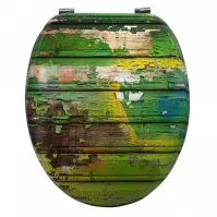 WC sedátko Paint MDF