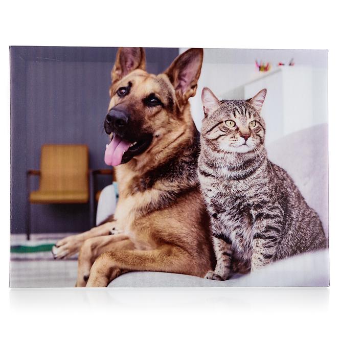 Obraz Pes a Kočka 3. 40x30x2 cm 63903008