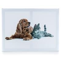 Obraz Pes a Kočka 1. 40x30x2 cm 63903006