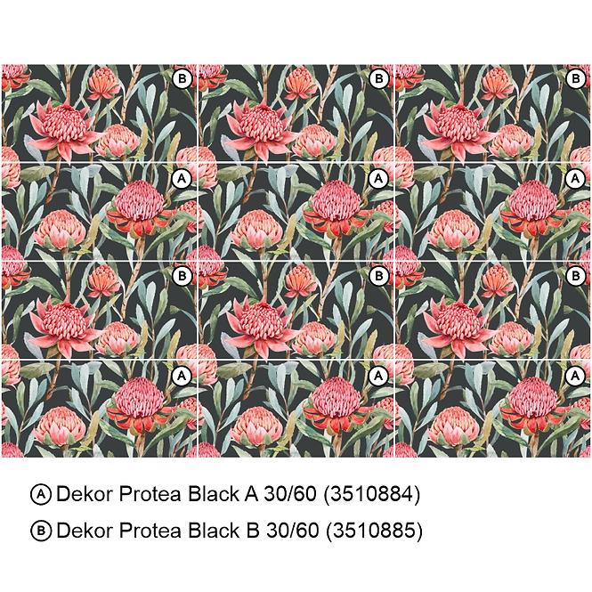 Dekor Protea Black A 30/60