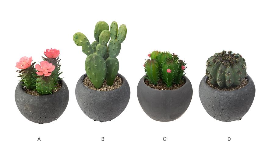 Umělá rostlina Kaktus v květináči několika druhů