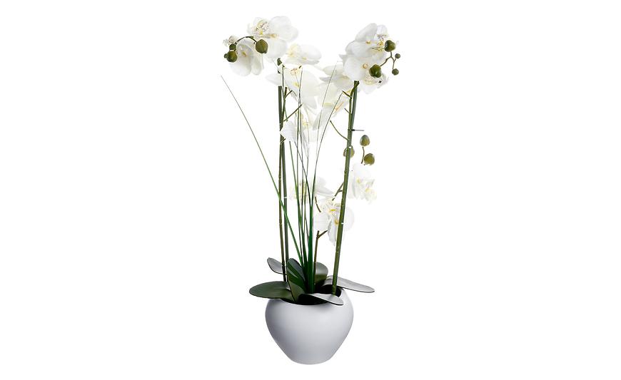 Umělá rostlina - Orchidej v květináči 53 cm, bílá