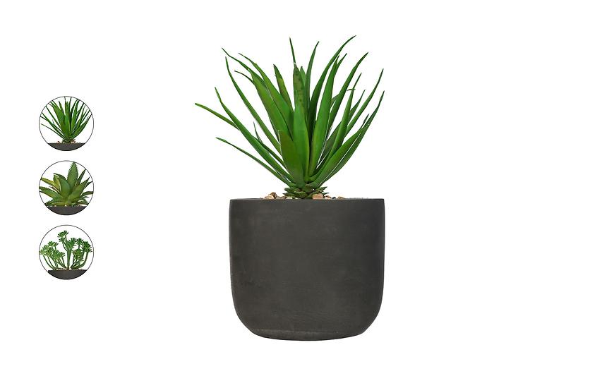 Umělá rostlina v květináči V 20 cm, více druhů