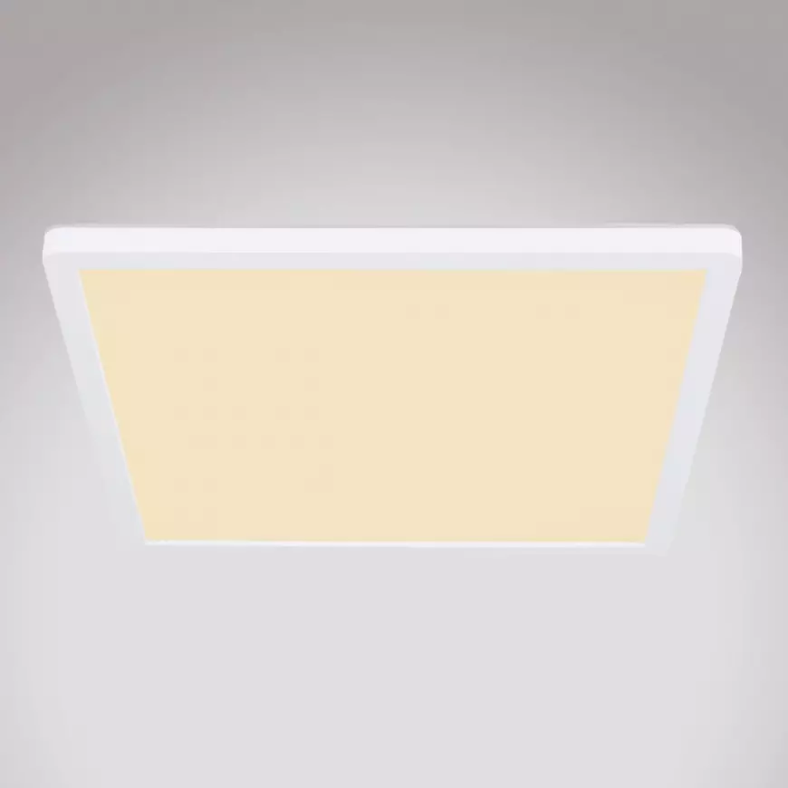 Stropní svítidlo 41563-24W LED bílý PL