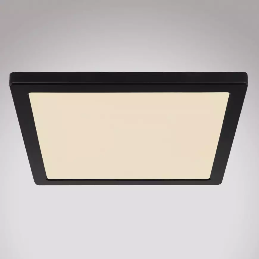 Svítidlo 12380-24B LED 24W černá PL