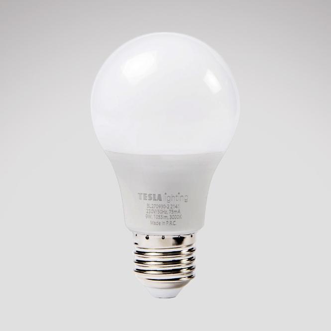 LED žárovka Bulb 9W E27 3000K