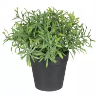 Umělá květina v květináči  herbs 1 20cm
