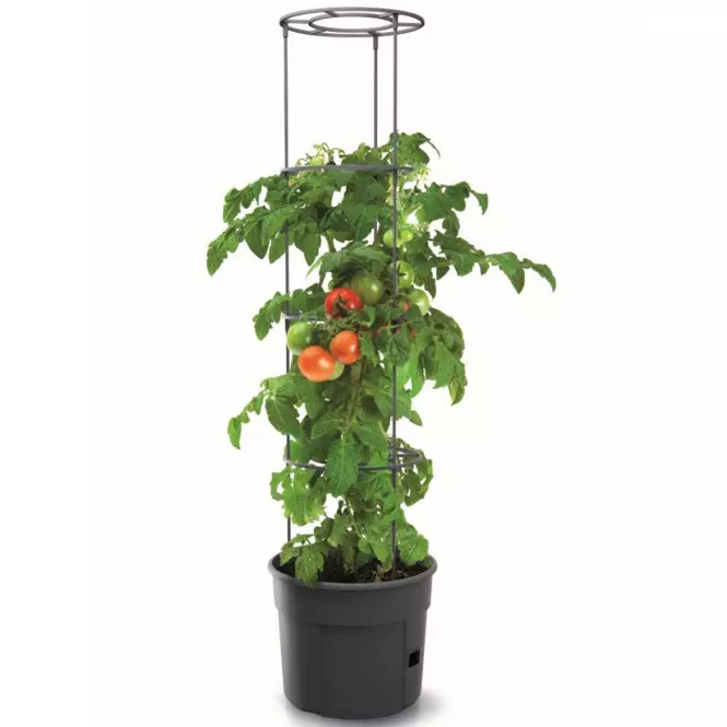Květináč na pěstování rajčat TOMATO GROWER