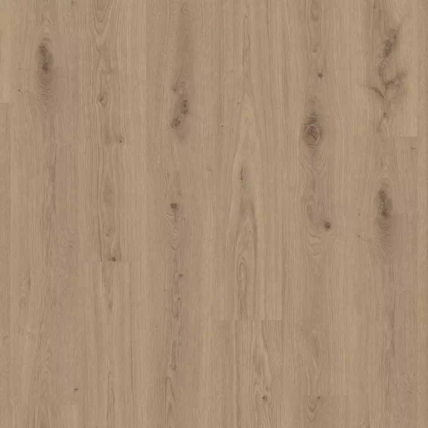 Vinylová podlaha SPC  Delicate Dub Chesnut 4,2mm 23/33