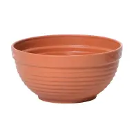 světle hnědý