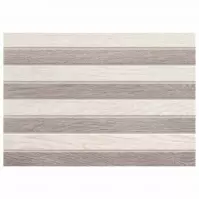 Dlažba Dekor Inverno 25/36