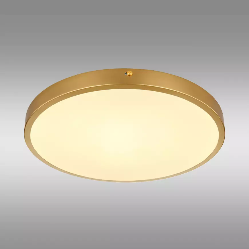 Stropní svítidlo Tibey 12381-22 LED PL1