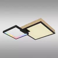 Stropní svítidlo Jacky 41392-21 RGB LED PL2