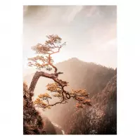 GLASSPIK 50X70 GL367 BROWN TREE