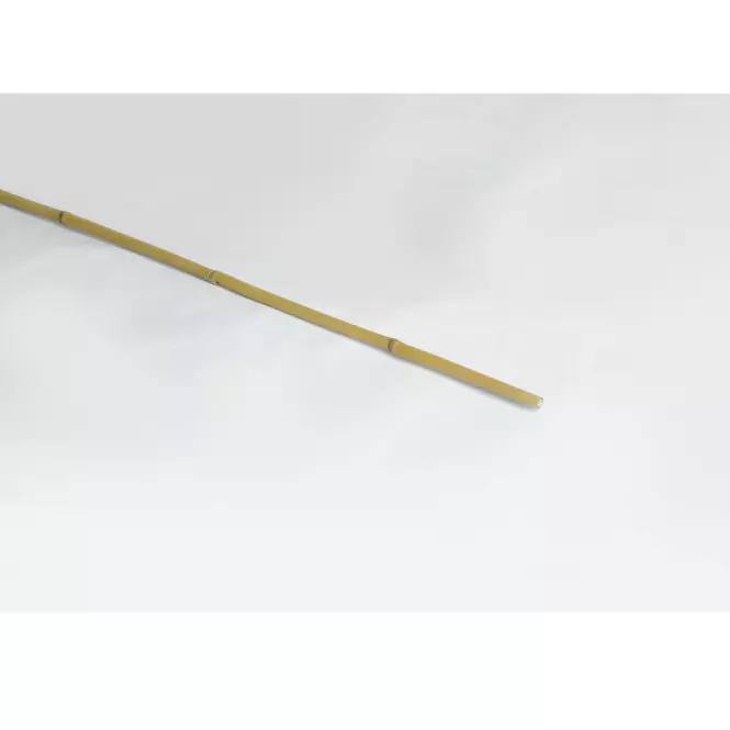 Bambusová tyč 150 cm fi 12/14 mm