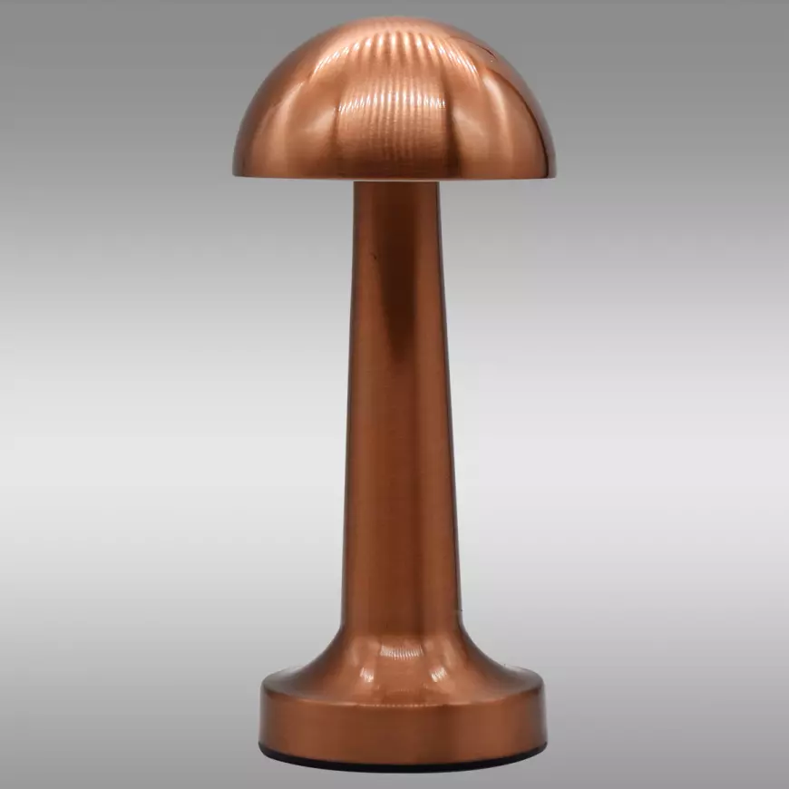 Stolní lampa Isa 49020 pink/gold USB LB1