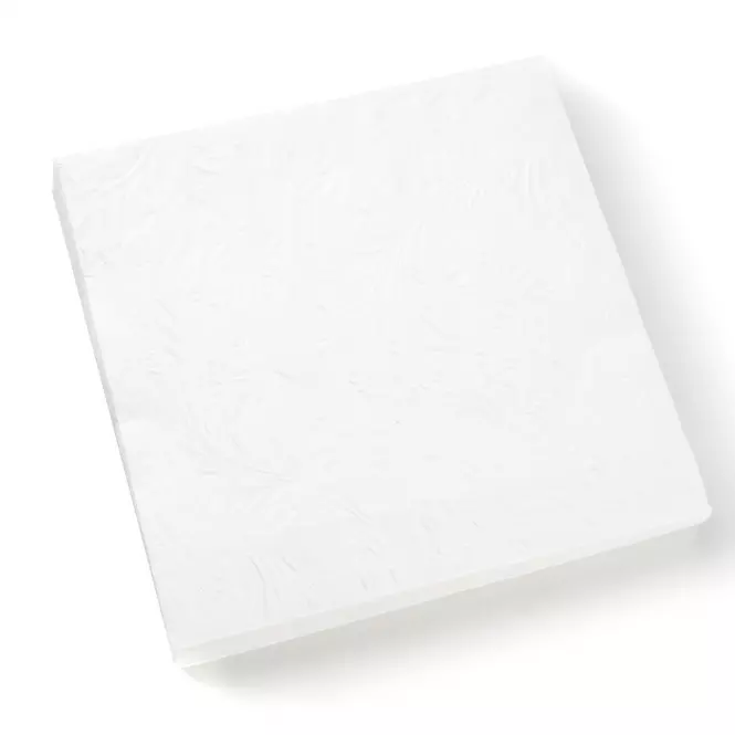 Ubrousky papírové 33x33cm 20ks bílé 29251581