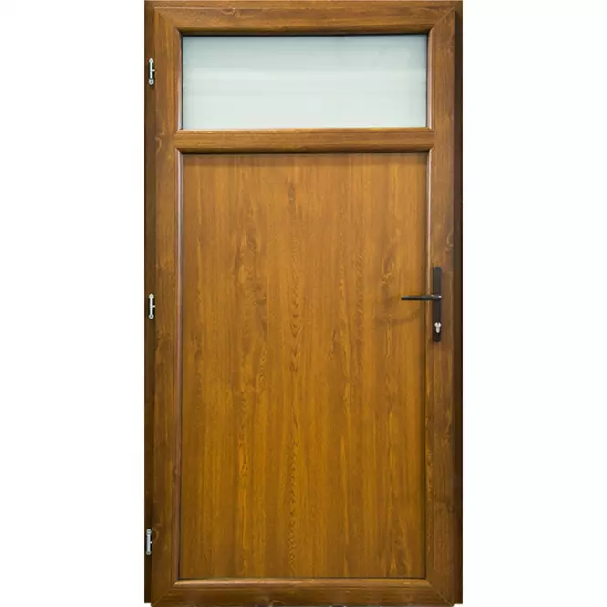 Vchodové dveře Eco D17 80L 88x198x6 zlatý dub