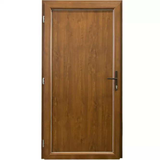 Vchodové dveře Larino Eco D18 80L 90x208x6 zlatý dub