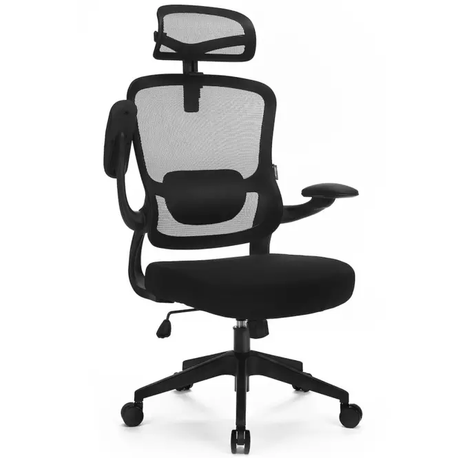 Otáčecí Židle Ergo Basic LV0652