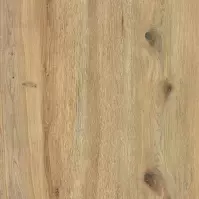 Terasová Dlažba Garden Wood Rustbrown 59,7x59,7 (2 cm)