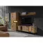 Tv stolek Evolution EV/4 artisan/wood,4