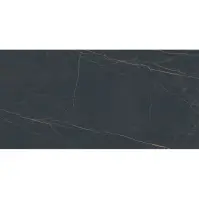 Dlažba Dicta Black Carving 60/120