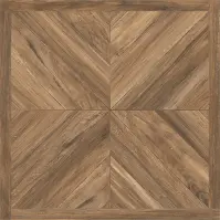 Dlažba Dicel Natural Mat 60/60