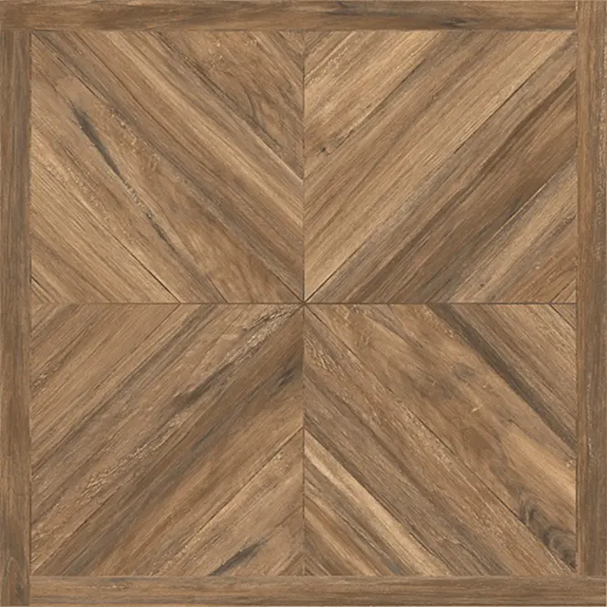 Dlažba Dicel Natural Mat 60/60