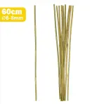 Bambusová tyč 60 cm fi 06/08mm