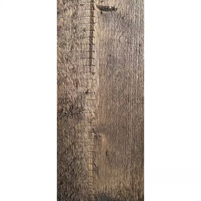Zahradní domek Swedish Barn 1622 přírodní V1