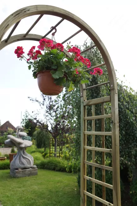 Pergola Róża 100x230x45
