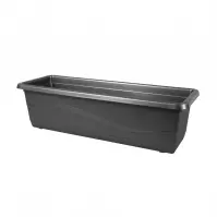 Truhlík lobelia š50cm; v14cm - antracit