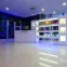 Dlažba New Super White 60/60,2