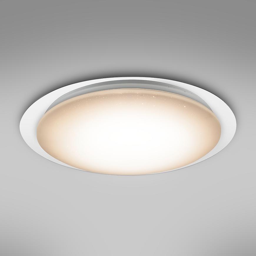 Stropní svítidlo 41310-60 LED 55 cm