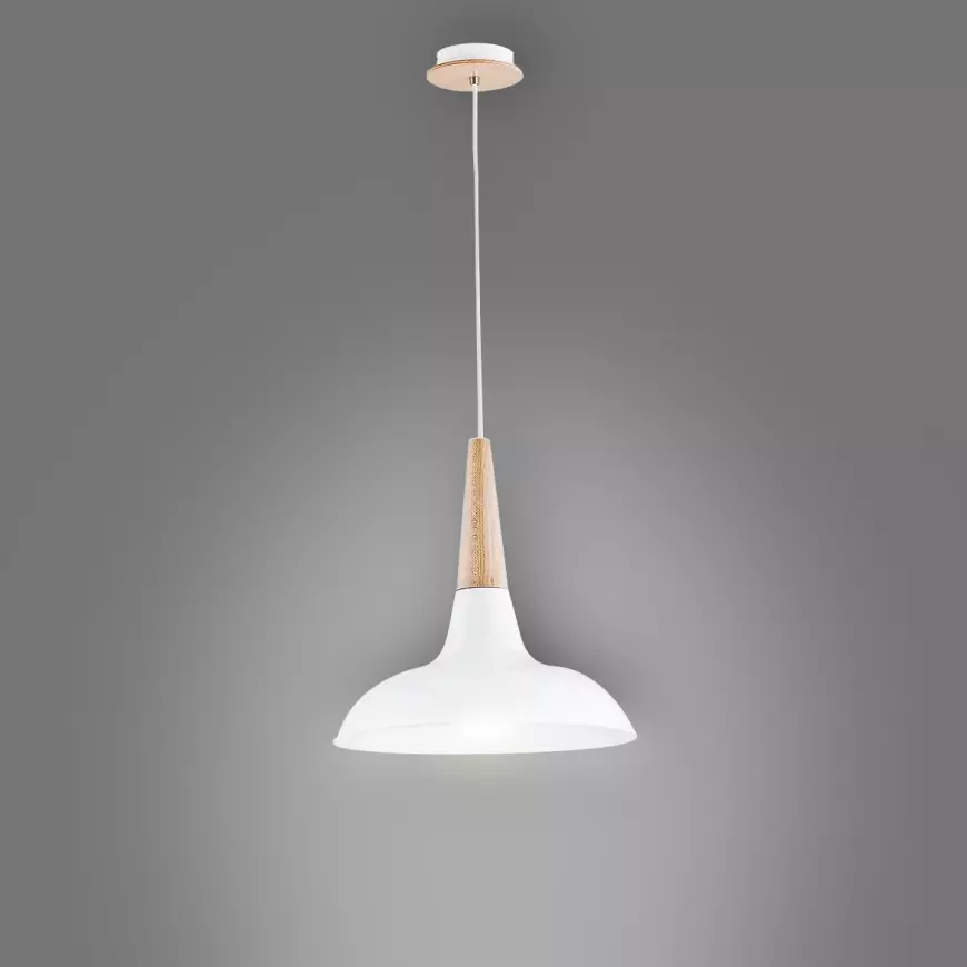 Závěsné svítidlo Doro 60005 LW1