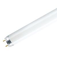 Zářivka lineární T8 BC 36W T8 6500K CFL
