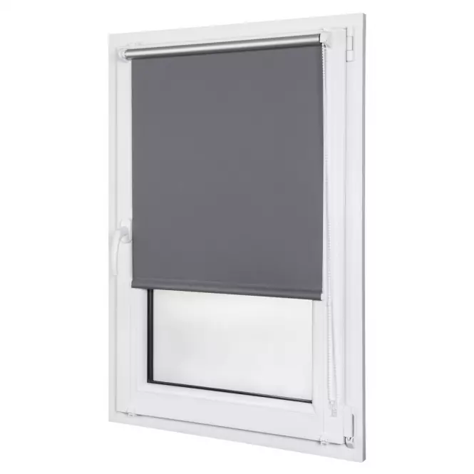 Roleta Mini Silver 68/215 MGR SXL-061