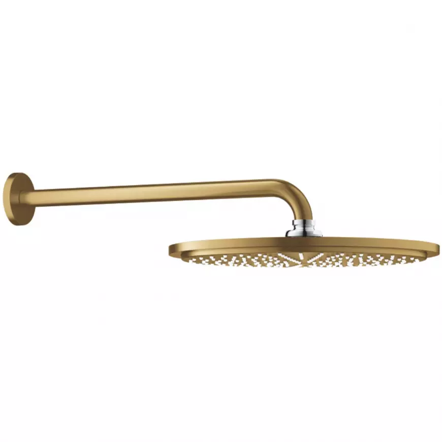 Hlavová sprcha 1 proud RAINSHOWER COSMOPOLITAN METAL 26066GN0