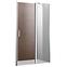 Sprchové dveře Milos 100/195 čiré sklo 6MM,3