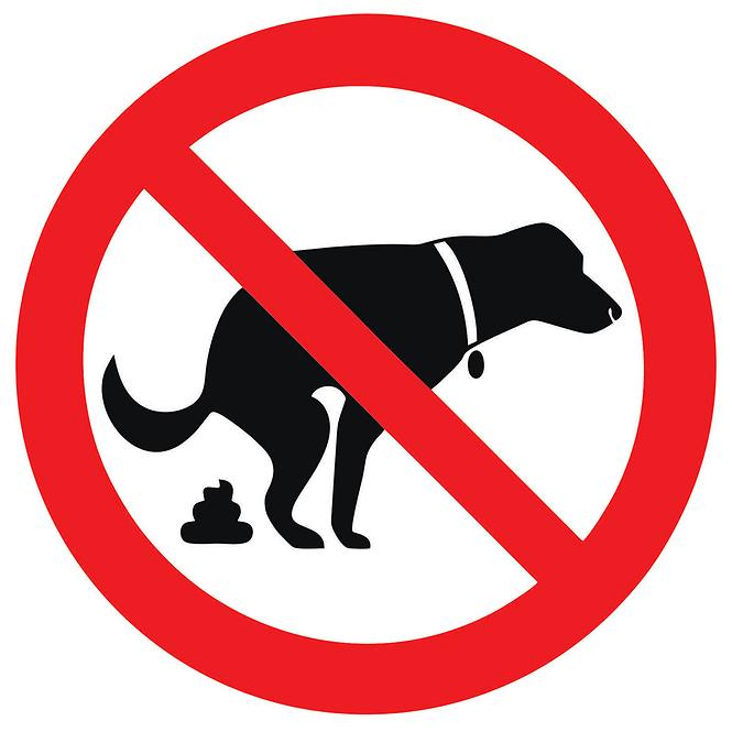 Zákaz venceni psu - samolepka 150x150 mm tl. 0.1 mm