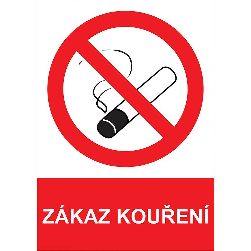 Levně Zákaz kouření A4, plast