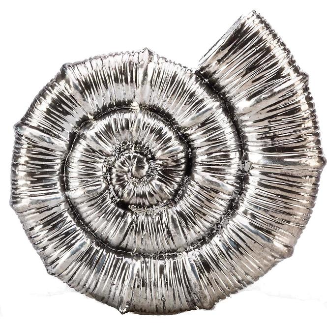Dekorace mušle 15 cm 93106 / BAUMAX