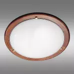 Svítidlo UFO 5417 D D30 PL1