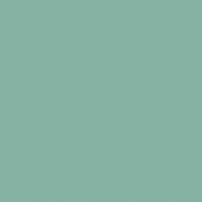 SilikonColor Baumit 14 l - odstín 1003